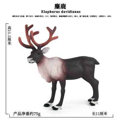 Children gift wildlife model toys simulation sika deer white-tailed deer and red deer suit; Christmas reindee