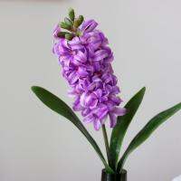 3D Hyacinth Narcissus Plastic Artificial Flower Potted DIY Crafts Floral Decor Valentines Day