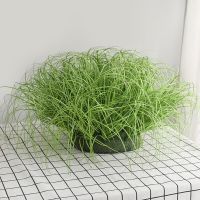 5PCS/lot New Artificial Grass Onion Rush Fake Grass Artificial Plant for Decoration Home Garden Wall Decor Green Plant Shoes Accessories