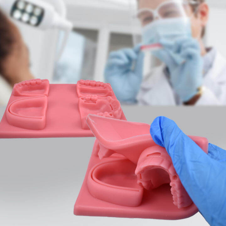 Oral Teeth Gum Suture Training Practice Dental Wounds Teaching Model