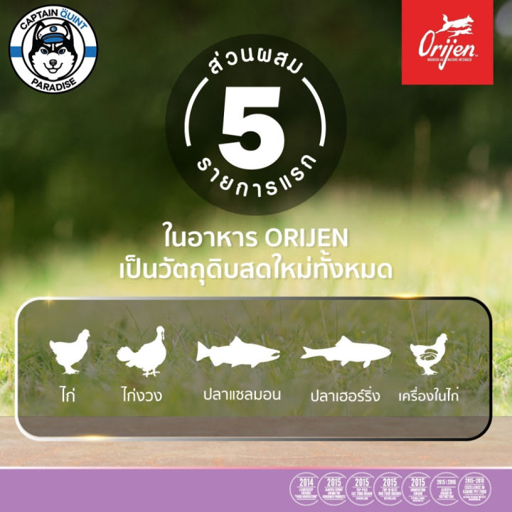 orijen-kitten-formula-โอริเจน-สูตรลูกแมว-340g-1-8kg