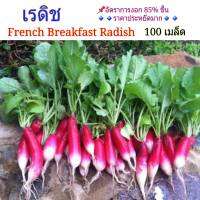 เรดิช French Breakfast Radish 100-300 เมล็ด(HK) พร้อมคำแนะนำการเพาะเมล็ด เมล็ดพันธุ์ผักสวนครัว ราคาประหยัด อัตราการงอกสูง 85% ขึ้น