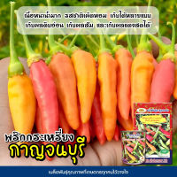 เมล็ดพริกกระเหรี่ยง กาญจนบุรี Hot Pepper ตราภูเขาทอง ขนาด0.5กรัม10กรัมและ20กรัม เมล็ดพันธุ์พริก เมล็ดพริกพันธุ์กระเหรี่ยง เมล็ดพริก