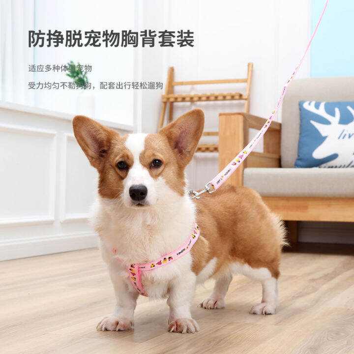 cw-supplies-patch-chest-back-hand-holding-rope-small-dog-chest-strap-dog-leash-hand-holding-rope-in-stock