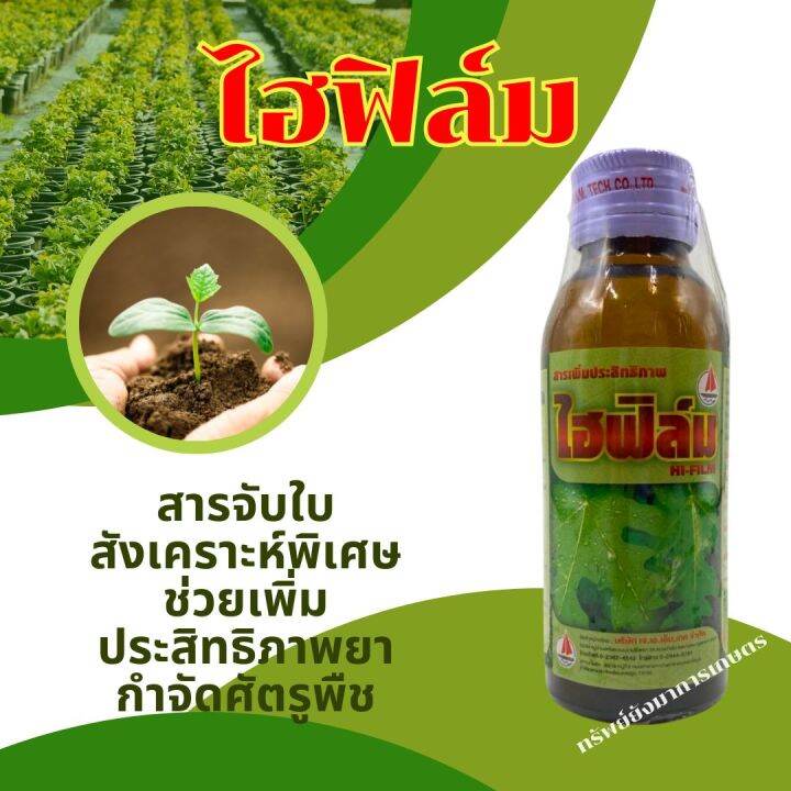 ไฮฟิล์ม-ขนาด-100ml-สารจับใบสังเคราะห์พิเศษ-ช่วยเพิ่มประสิทธิภาพยากำจัดศัตรูพืช