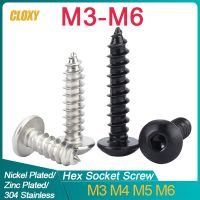 304 Stainless Steel/ Grade8.8 Zinc/ Nickel Plated Carbon Steel Round Head Black Hexagon Socket Self-Tapping M3 M4 M5 M6 Nails Screws  Fasteners