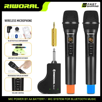 Vocal Microphone Professional KTV Karaoke Theater Church Dual Wireless  Microphones System