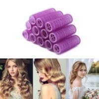 2/12pcs Big Self Grip Hair Rollers Self Grip Curler Hair Rollers for DIY Curl Hair Styling Curling Tool Home Use Hair Rollers