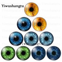 Eyes Eyeball Mixed or pairs 12mm/20mm/25mm/30mm Round photo glass cabochon demo flat back Making findings