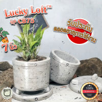 กระถางปูน 7x5 นิ้ว กระถางต้นไม้ ทรงกระบอก มีขอบด้านบน มินิมอล&amp;ลอฟท์ "Lucky Loft™ CB75"