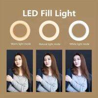 ขาตั้งแบบสามขาเซลฟี่ Q02s พับได้พร้อมไฟ LED 3 In 1ไม้เซลฟี่ไร้สายบลูทูธแบบยืดได้360หมุนได้