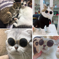 【cw】 Glasses Mini Cat Sunglasses Teddy Dog Personality Fashion Sunglasses Glasses Decorations Factory Direct Sales