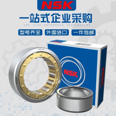Japan imports NSK bearings NU203 NU204 NU205 NU206 NU207 NU208 EM E cylinder