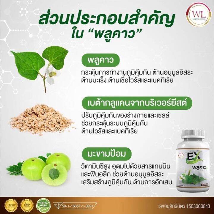 ฟรีจัดส่ง-2-แถม-1-แท้100-ex-plu-kaow-อีเอ็กซ์-พลูคาว-บุ๋ม-เบต้ากลูแคน-คาวตอง-กระปุกละ-30-เม็ด