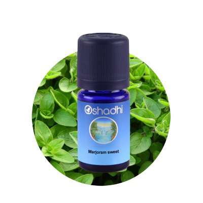 Oshadhi Marjoram sweet Essential Oil น้ำมันหอมระเหย (10 ml)