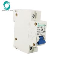 1P PV Din Rail DC 250V 100A 125A 10kA C Curve Solar Switch Mini Circuit Breaker MCB