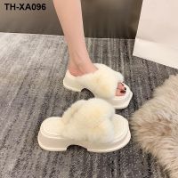 net head maomao thick bottom han edition outside a flip flops female leisure senior platform sandals