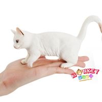 Monkey Toys - โมเดลสัตว์ Cat แมว ขาว ขนาด 17.50 CM (จากหาดใหญ่)