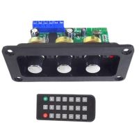 Bluetooth 5.0 Amplifier Power Audio Board 30W Mono Stage Power Amplifier Board, U Disk Decoder