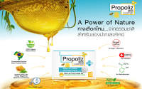 (2 ซอง) Propoliz Mixs Lozenge plus Xylitol โพรโพลิซ มิกซ์ ชนิดเม็ดอม มีไซลิทอล (1 ซอง บรรจุ 15 เม็ด)