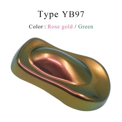 กิ้งก่าเปลี่ยนสี YB97สำหรับ Hiasan Sepeda ยานยนต์สารเคลือบแปรงปัดแก้มสีอะคริลิค YB98