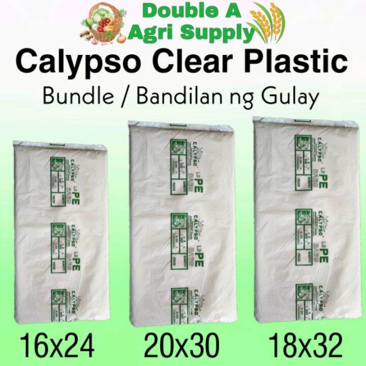 PE Plastic Bag / 0.01 Thickness / Calypso Clear Plastic / 16x24 / 20x30