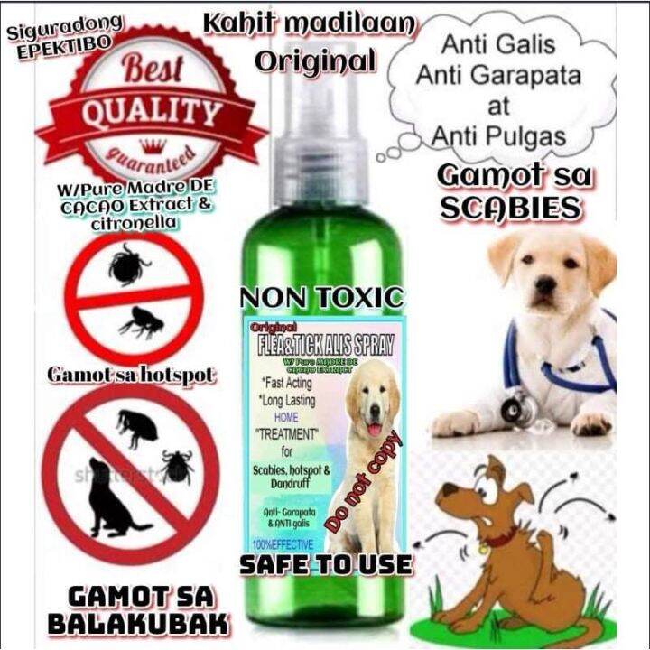 Gamot sa Galis, Pamatay ng Garapata sa Aso 100ml buy only the original ...