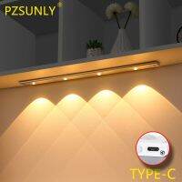 PZSUNLY Ultrathin LED Cabinet Light 40/60/80cm Motion Sensor Wireless USB TYPE-C Charging Night Light Cabinet Kitchen Lighting