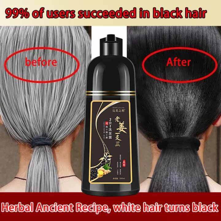 Black Hair Dye Shampoo Organic 500ML Professional 3In1Wash/Nourish