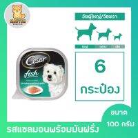 [6 ถาด] CESAR Dog Food Wet Tray Salmon Potepo 100g. x 6 Unit ซีซาร์ อาหารสุนัขชนิดเปียก แบบถาด รสแซลมอน มันฝรั่ง