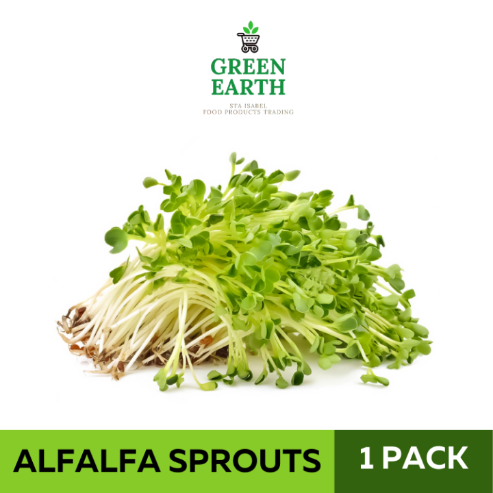 GREEN EARTH Alfalfa Sprouts - 125G | Lazada PH