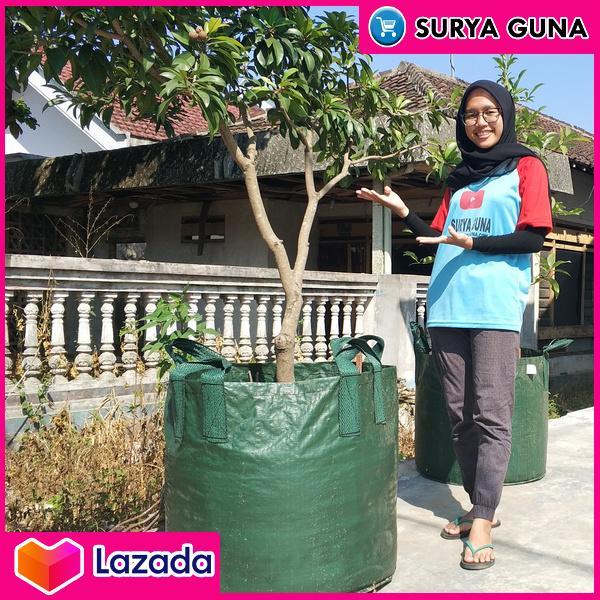 Planter Bag Tabulampot Planter Bag Durian 200 Liter Easy Grow