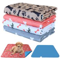 【CC】 Washable Dog Diaper Reusable Training Urine Absorbent Environment Car Cover