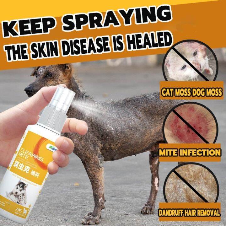 【Pet Hospital】100ML mange treatment for dogs animal wound spray gamot ...