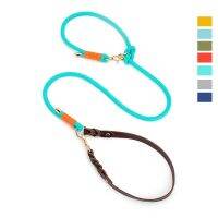 Hands Free Dog Training Leash Slip Pet Dog Nylon Rope Lead Strap Adjustable Traction Collar With cowhide handle O Ring