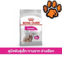 (ส่งฟรี)Royal Canin อาหารสุนัขสูตร Mini Exigent ขนาด 3 กก. สำหรับสุนัขกินยาก