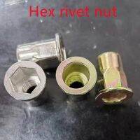 5-20cs M3 M4 M5 M6 M8 M10 304 Stainless steel Or steel with zinc Hex Rivnut Flat Head Metric Threaded Rivet Nut