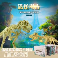 [COD] Archaeological excavation fossil dinosaur gem skeleton model children handmade treasure digging toy archaeological blind box