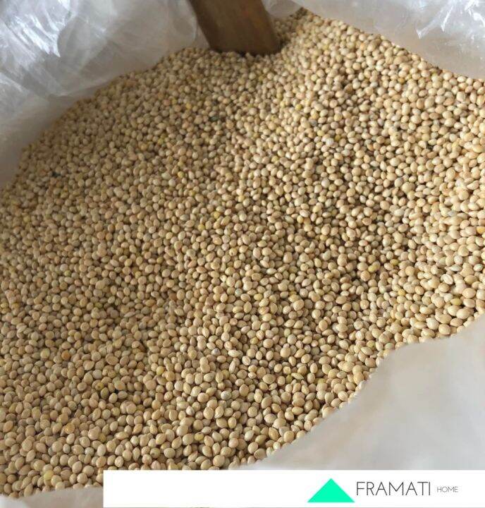 Millet Bird Seed (White/Yellow) 1kg Lazada PH