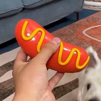 TPR Clean Tooth Dog Toy Hot Dog Outdoor Pet Training Squeak Toys Grilled Sausages