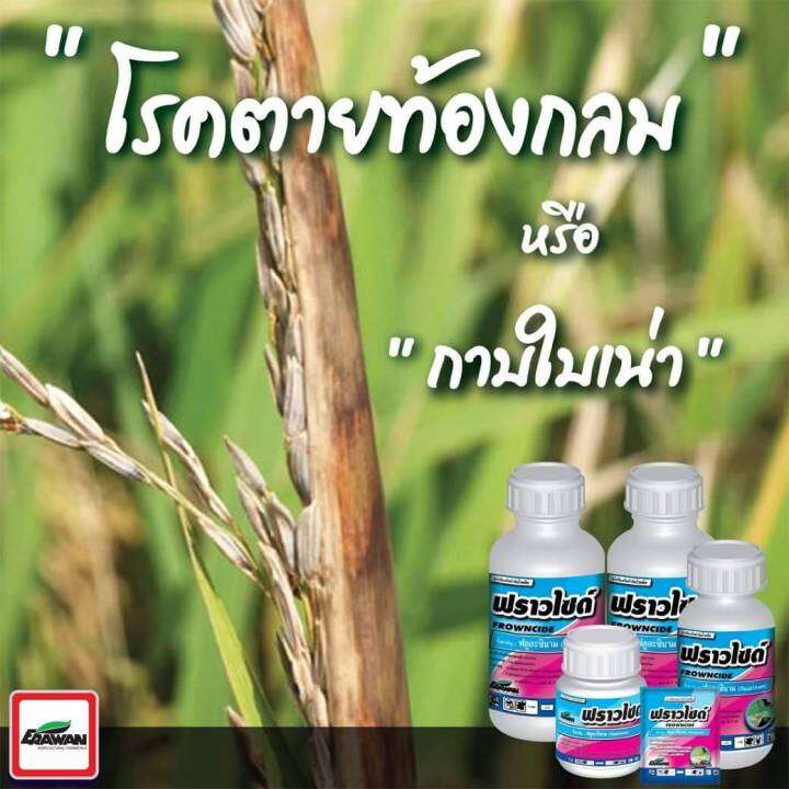 ฟราวไซด์-ฟลูอะซินาม-fluazinam-50-w-v-sc-ขนาด-100-ml