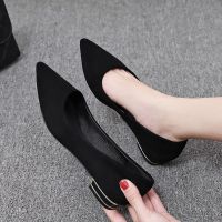 ☍☼ Stewardess work shoes womens black leather shoes with thick heels for work standing for a long time without tired feet soft soles comfortable hotel professional interview shoes