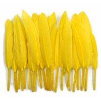 Cochettes Loose Feathers 10-15CM/4-6inch Crafts Jewelry Accessories decoration Plumes