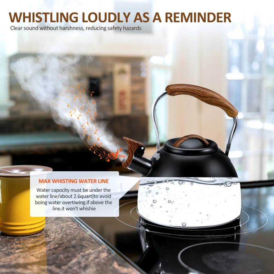 1pc Whistle Tea Kettle for Stove Top, 3L/101oz Stainless Steel Large  Capacity for Boiling Water & Making Coffee, Suitable For Both Induction  Cooker And Gas Stove