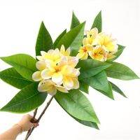 ONE Fake Single Stem Frangipani 35" Length Simulation Plumeria Real Touch Leaf for Wedding Centerpieces Artificial Flowers  Plants