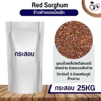 ฟ่างแดงเม็ดเล็ก Red Sorghum อาหารนก กระต่าย หนู กระต่าย กระรอก ชูก้า และสัตว์ฟันแทะ (กระสอบ 25KG)