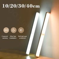 Motion Sensor Light Wireless LED Night Lights Bedroom Decor Light Detector Wall Decorative Lamp Staircase Closet Room Aisle Ligh Bulbs  LEDs HIDs