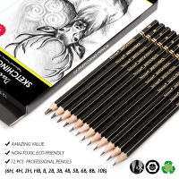 Dainayw Professional Drawing Sketching Pencil Set, 12 Pieces Art Pencils Graphite Shading Pencils For Beginners &amp; Pro Artists