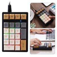 ☎☈ Numeric Keypad 21 Keys Digital Mechanical Keyboard Green Axis Usb RGB for Accounting Teller Notebook Computer Tablets