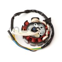 Newprodectscoming 11 poles DC Ignition stator magnetic coil generator for GY6125cc 150cc Chinese scooter moped ATV Dirt pit bike Accessories